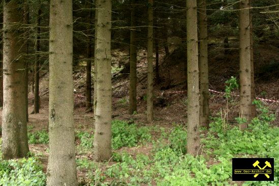 Halde - Bereich um den SDAG Wismut Schacht 55 im Revier Johanngeorgenstadt, Erzgebirge, Sachsen -16.05.09 (3).jpg